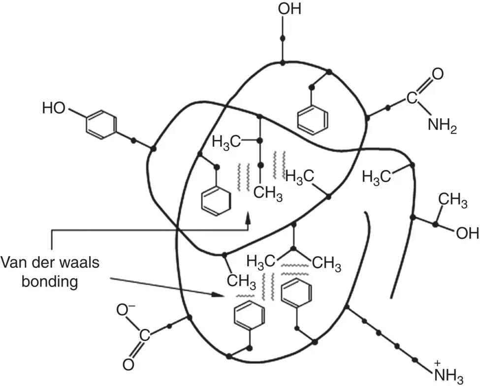 Figure 224 Illustration of chain folding of protein to form a globular - фото 47