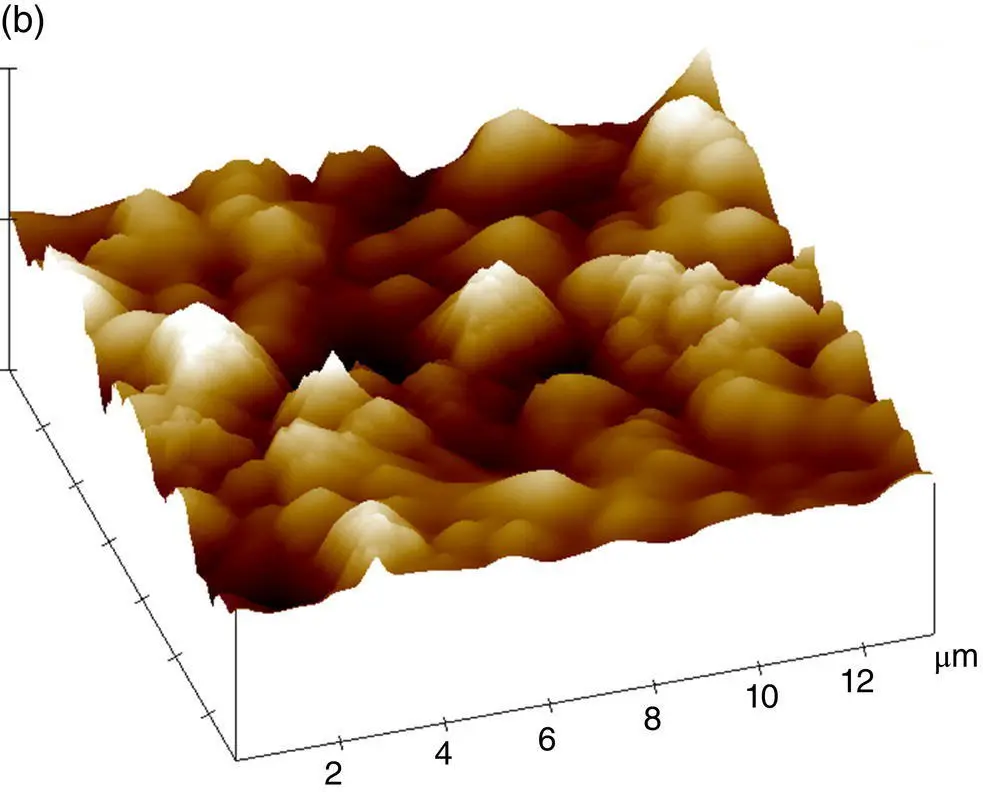 Figure 525 Topography of asfabricated silicon nitride obtained by a SEM - фото 199