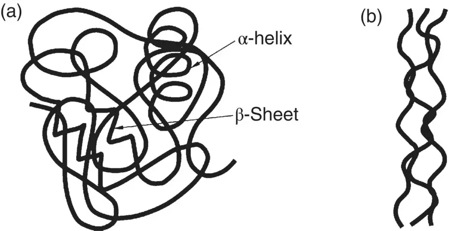 Figure 222 Schematic illustration in two dimensions of the overall - фото 42