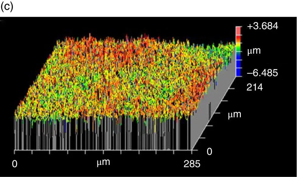 Figure 525 Topography of asfabricated silicon nitride obtained by a SEM - фото 200
