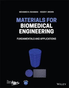 Mohamed N. Rahaman Materials for Biomedical Engineering обложка книги