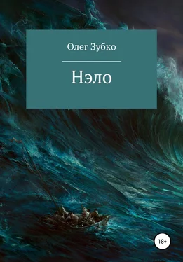 Олег Зубко Нэло обложка книги