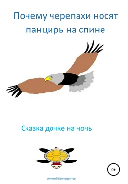 Алексей Ксенофонтов Почему черепахи носят панцирь на спине обложка книги