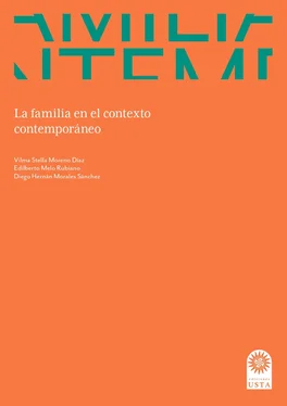 Vilma Stella Moreno Díaz La familia en el contexto contemporáneo обложка книги