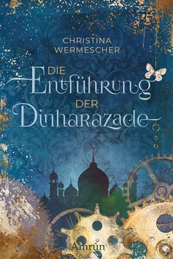 Christina Wermescher Die Entführung der Dinharazade обложка книги
