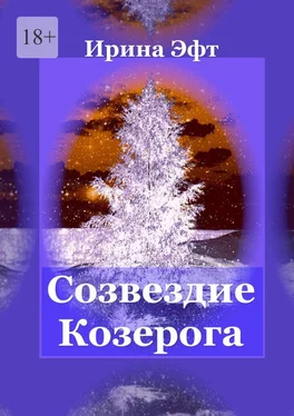 Ирина Эфт Созвездие Козерога обложка книги