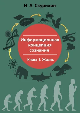 Николай Скурихин Информационная концепция сознания. Книга 1. Жизнь обложка книги