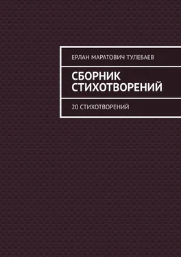 Ерлан Тулебаев Сборник стихотворений. 20 стихотворений обложка книги