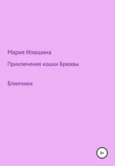 Мария Илюшина - Приключения кошки Брюквы. Блинчики