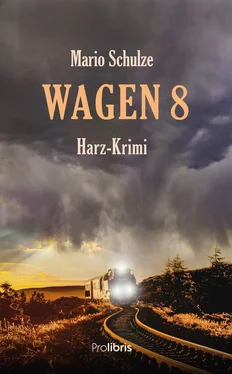 Mario Schulze Wagen 8 обложка книги