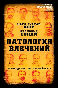 Леопольд Сонди Патология влечений. Руководство по профайлингу обложка книги