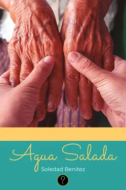 Soledad Benitez Agua Salada обложка книги
