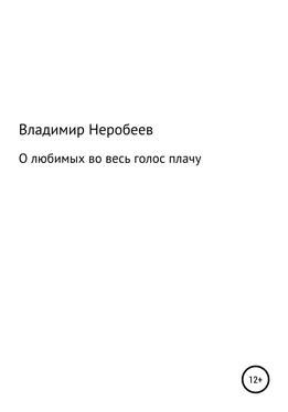 Владимир Неробеев О любимых во весь голос плачу обложка книги