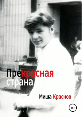 Миша Краснов Прекрасная страна обложка книги