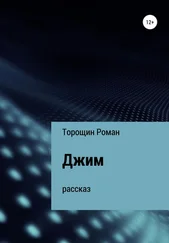 Роман Торощин - Джим. Рассказ