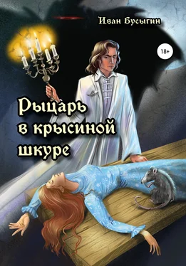 Иван Бусыгин Рыцарь в крысиной шкуре обложка книги