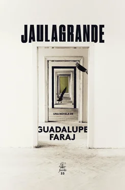 Guadalupe Faraj Jaulagrande обложка книги
