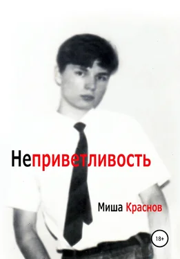 Миша Краснов Неприветливость обложка книги