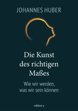 Johannes Huber Die Kunst des richtigen Maßes обложка книги
