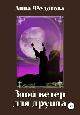 Анна Федотова Злой ветер для друида обложка книги