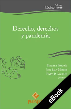 Susanna Pozzolo Derecho, derechos y pandemia обложка книги