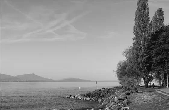 Genfersee Schaun wir mal was der Tag so bringt Zuerst mal Sonne Durch - фото 76