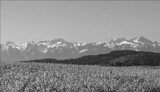 Panorama Es ist immer noch frisch aber trocken Schöne Wanderwege führen mich - фото 75