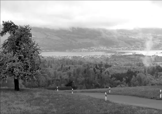 Blick Rapperswil Die Strecke führt auf einem welligen Höhenweg durch kleine - фото 40