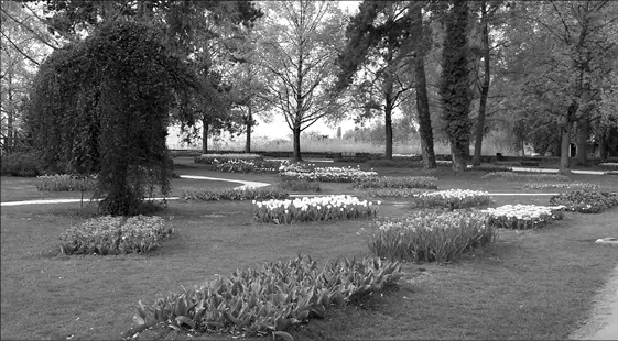 Park in Morges In beiden bekomme ich erfreulicherweise meine ersten - фото 79