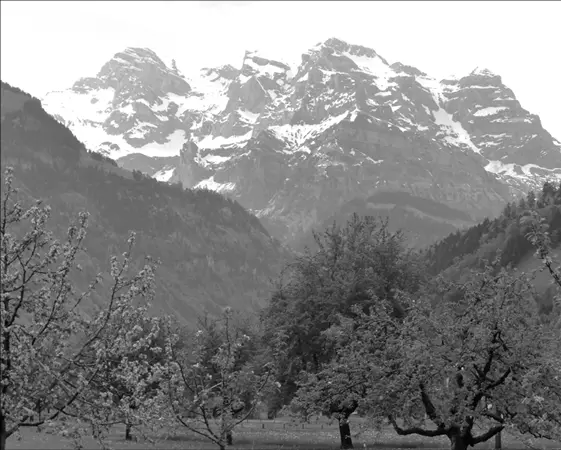 FrühlingWinter Bis Stans war es eben und ich konnte immer wieder den Blick - фото 55