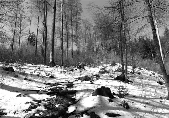 Brünigpass Auf der Passhöhe liegt noch Schnee Trotzdem ist es angenehm zu - фото 62