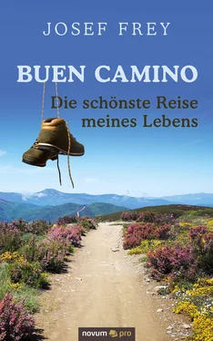 Josef Frey Buen Camino - die schönste Reise meines Lebens обложка книги