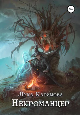 Лука Каримова Некроманцер обложка книги