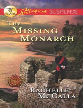 Rachelle McCalla The Missing Monarch обложка книги