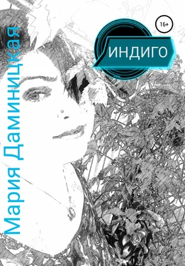 Мария Даминицкая Индиго обложка книги
