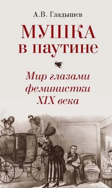 Андрей Гладышев Мушка в паутине. Мир глазами феминистки XIX века обложка книги