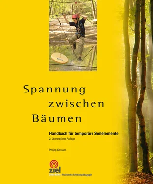 Philipp Strasser Spannung zwischen Bäumen обложка книги