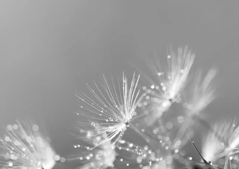 Inhalt Vorwort Vorwort Liebe Leserin lieber Leser Wer freut sich nicht - фото 1