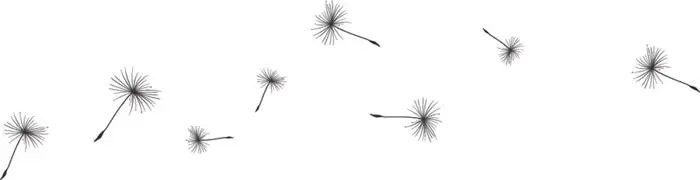 Vorwort Vorwort Liebe Leserin lieber Leser Wer freut sich nicht über ein - фото 2