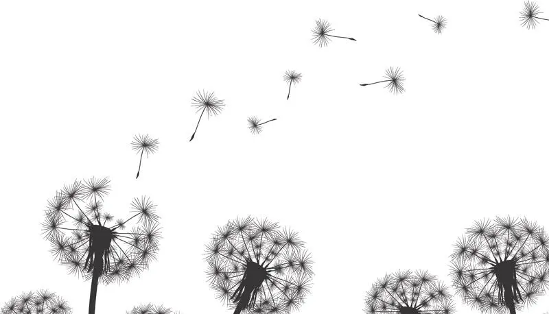Vorwort Liebe Leserin lieber Leser Wer freut sich nicht über ein gutes Wort - фото 3