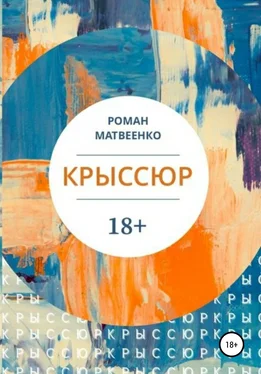 Роман Матвеенко Крыссюр обложка книги