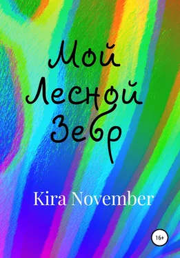 Kira November Мой Лесной Зебр обложка книги