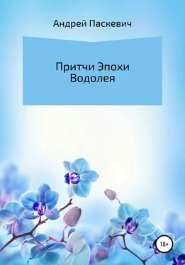 Андрей Паскевич Притчи Эпохи Водолея обложка книги