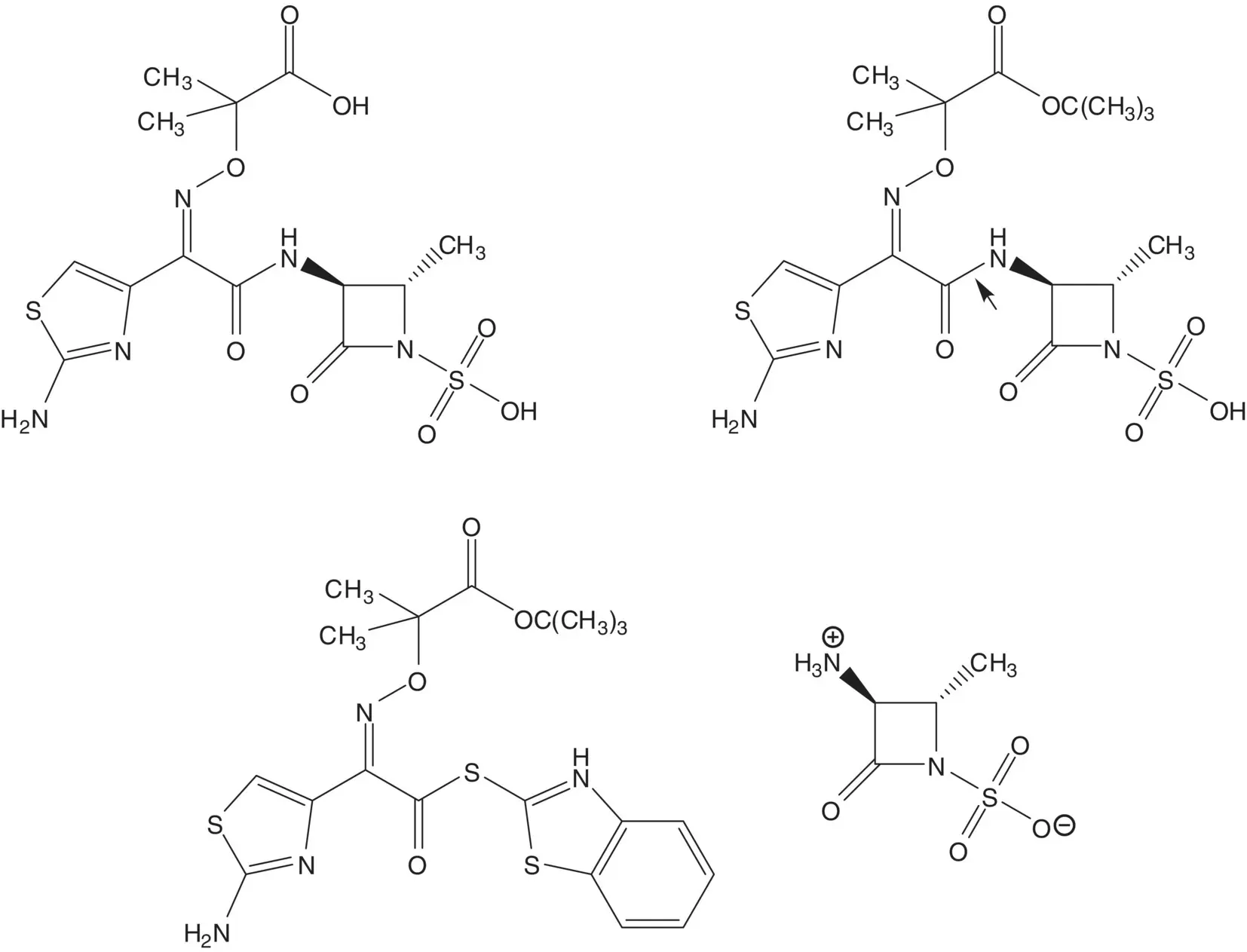 The amine of the ammonium sulfamate zwitterion is released by cleavage of the - фото 85