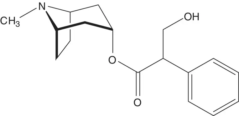 A rigid bicyclic structure is often used to direct the formation of a new - фото 74