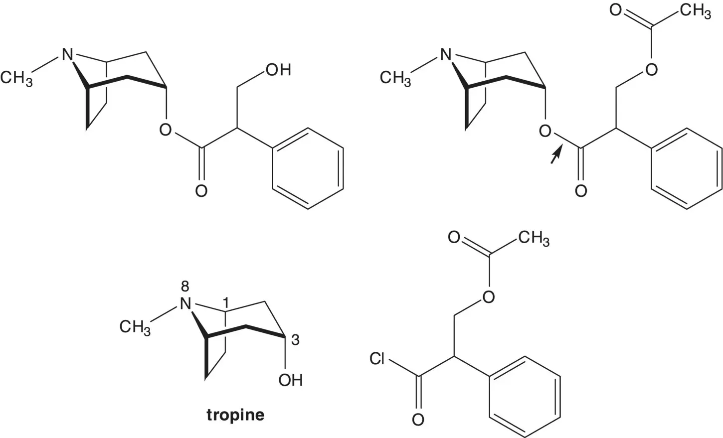 In a onepot procedure the acetate ester is formed from acetyl chloride and - фото 75