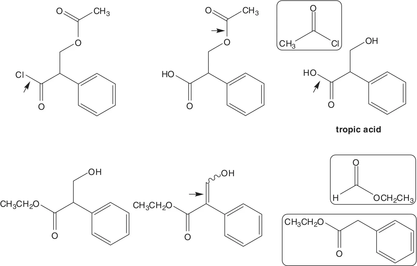 The axial alcohol of tropine is formed by reduction of the ketone Tropinone is - фото 76