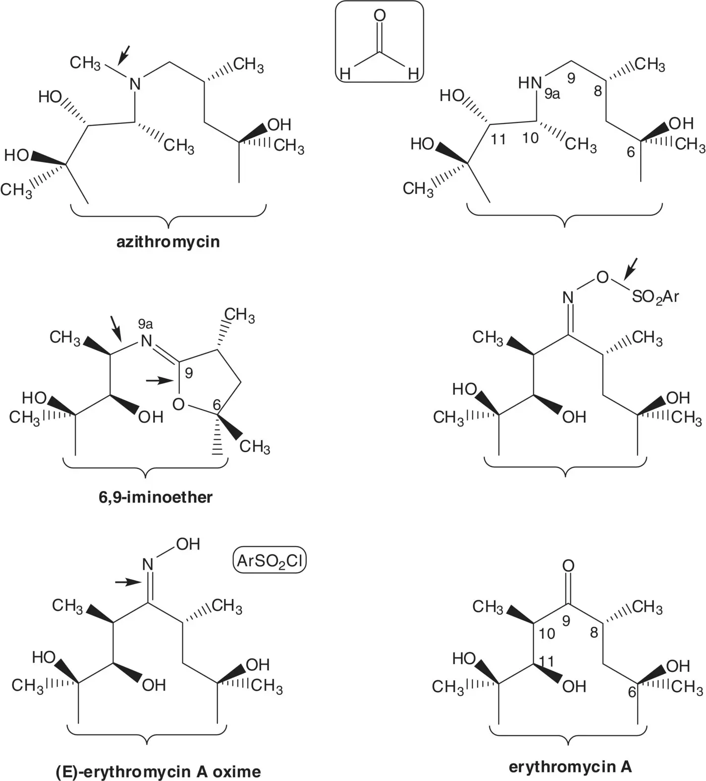 Extended Discussion Z Erythromycin A oxime can be prepared from E - фото 82