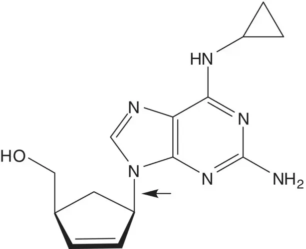 Acetazolamide Ophthalmological PreparationsMiotics and Antiglaucoma Medicines - фото 7
