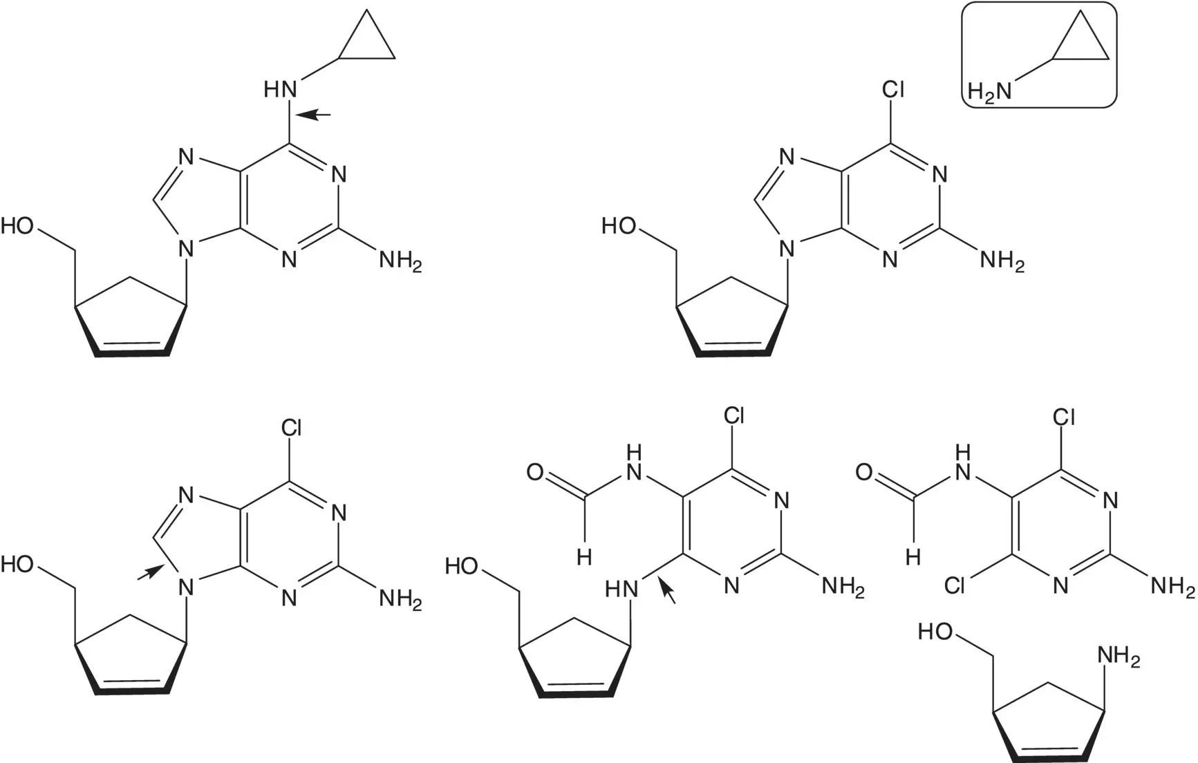 The 25diaminopyrimidine 5formamide is formed from the 25diaminopyrimidine - фото 3